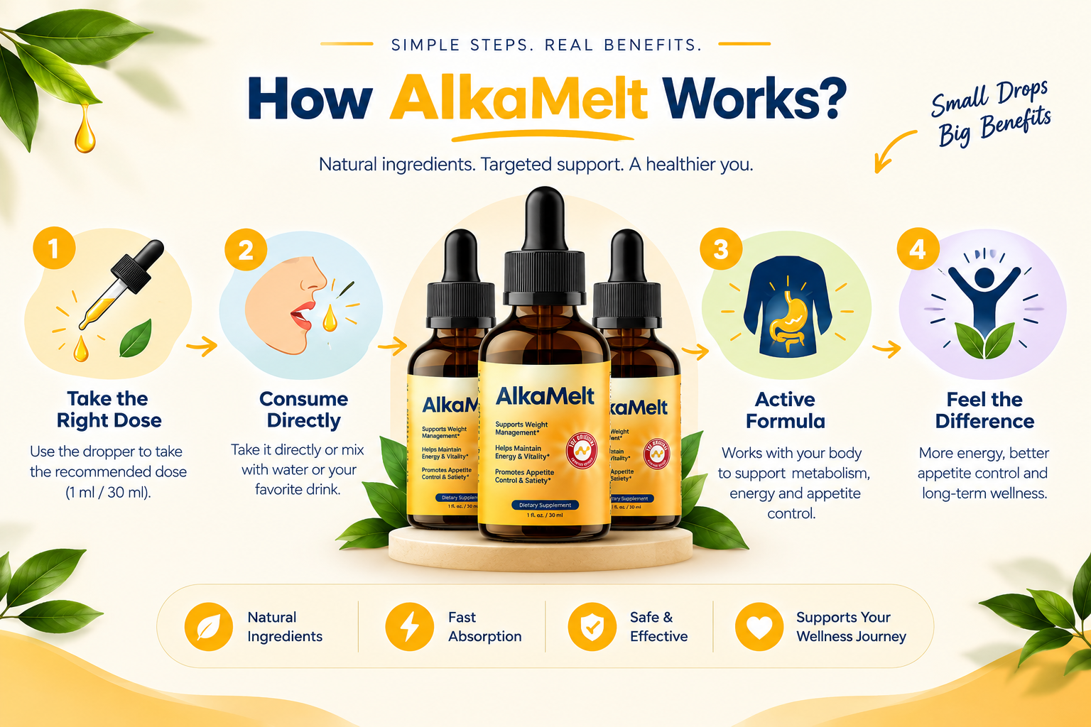 How AlkaMelt Works infographic